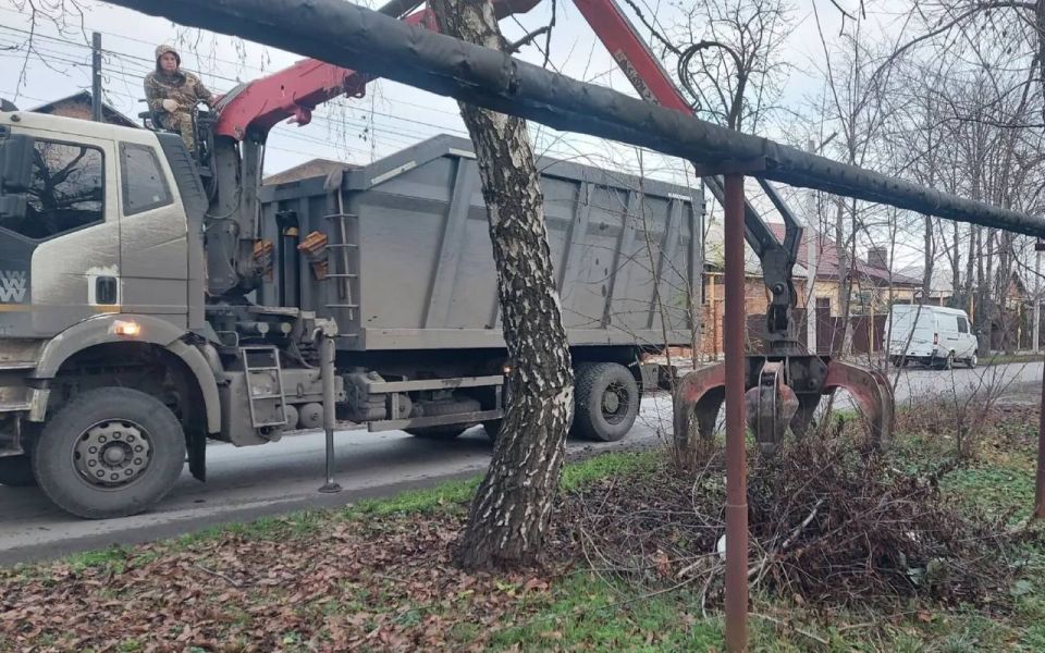 По обращениям жителей вывезены ветки в переулке Громова и на улице Достоевского