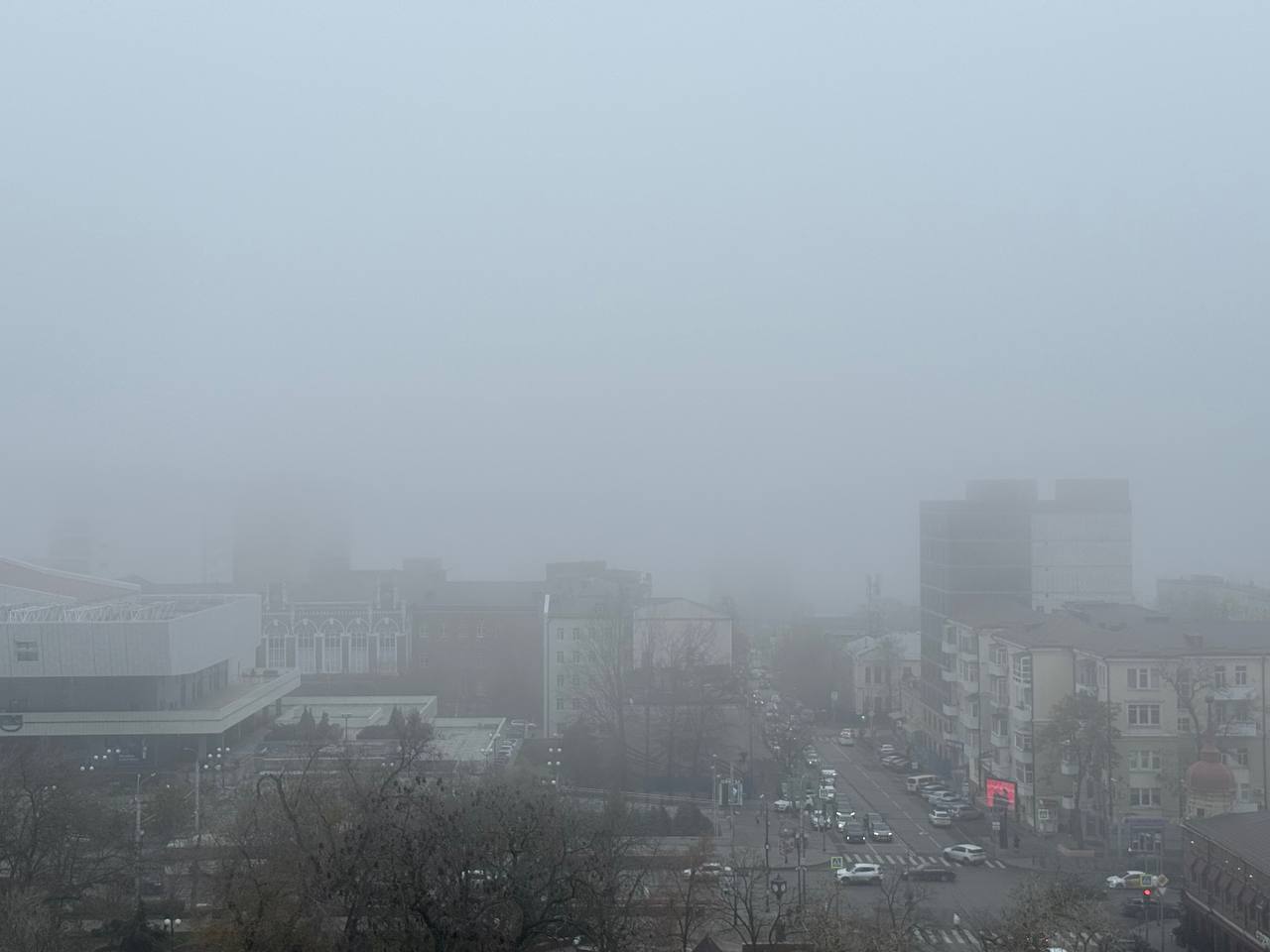 Снова туманным «молоком» заволокло региональные трассы