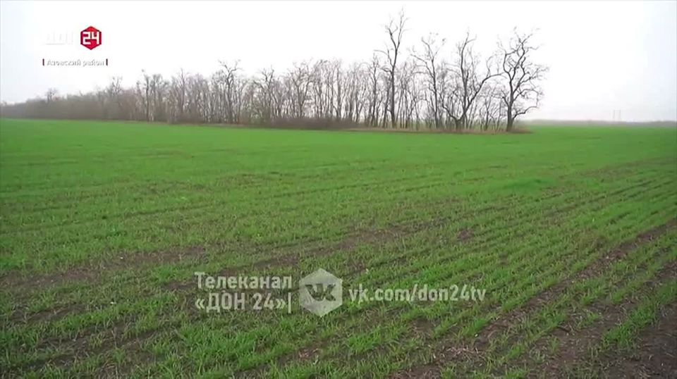 ��� ������ ������� � �������� ������ �������� �� 100%