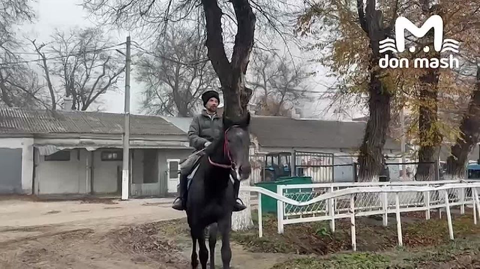 ������ �������� �� ���������� ���������