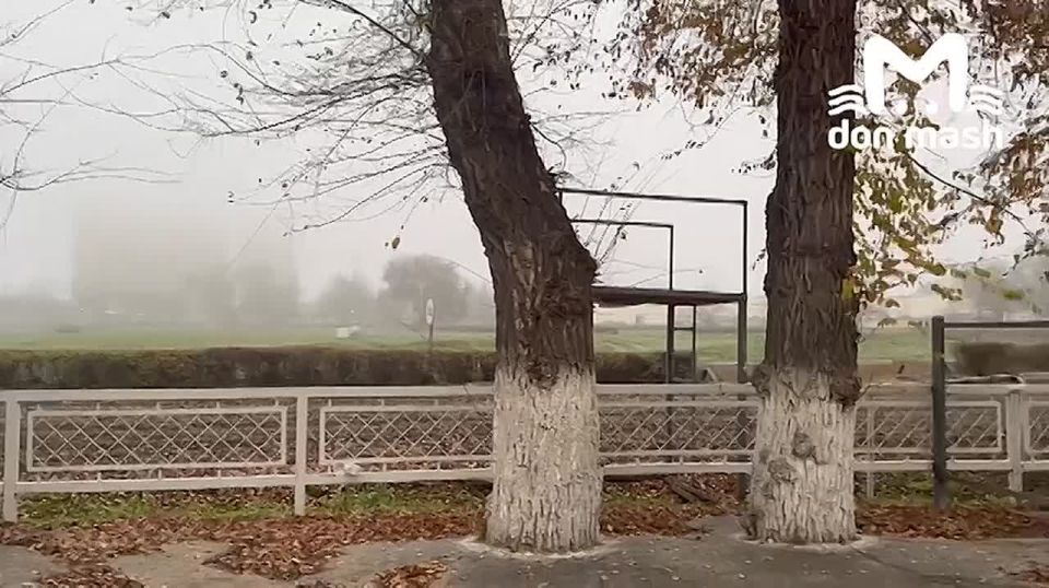 День икс для ростовского ипподрома настал — сегодня конников выселяют