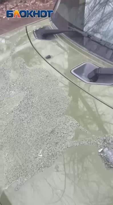 ������ �������� ������ ��������� �������� ���������� ����������� � ��������-����������