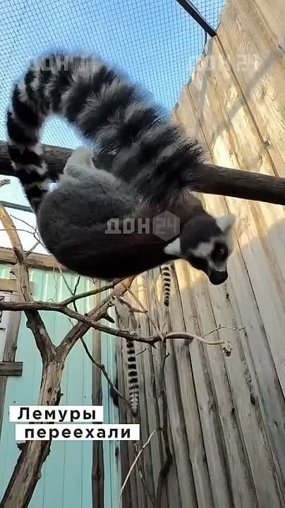 ������ �� ����� �������� ��������� � ������ ����������