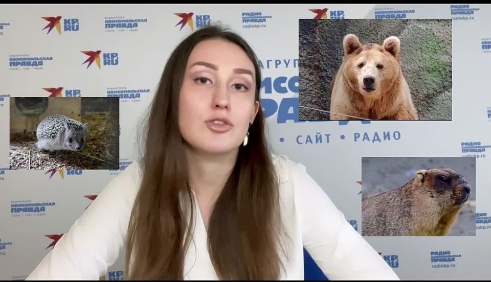 ������� ��������� � ������! ���� ��������� ��������� ������������ ��������, �� �������� ����� ��������� ������ ������ � �������-��-����