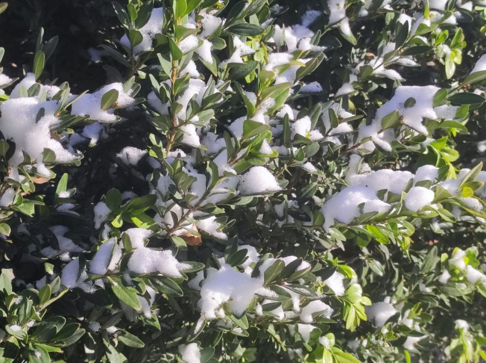 ������ ���� ��������� � ������� � ������ ����