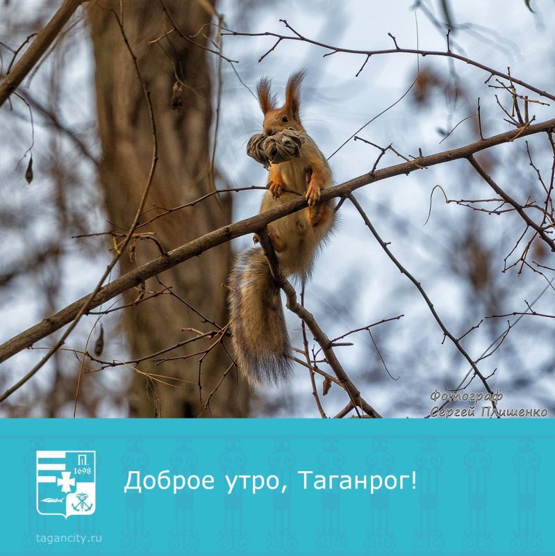 С первым днём зимы!. Фото: Сергей Плишенко