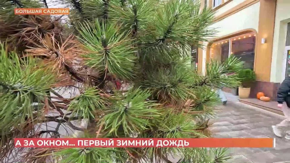 � ������ ���� ���� ����������� �������� ���� �������