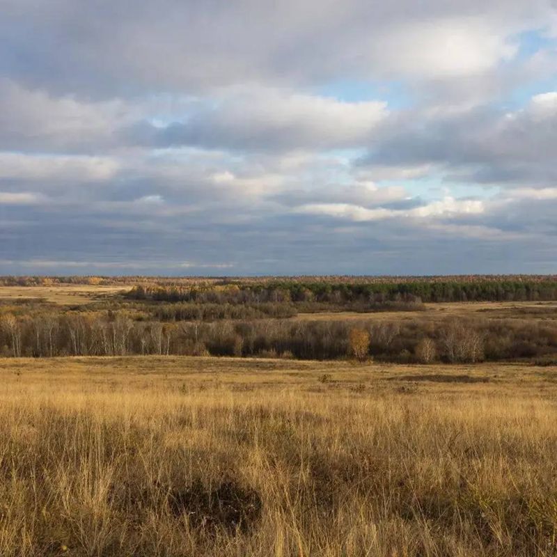 ������� � ������������: ������� ������ �� �������