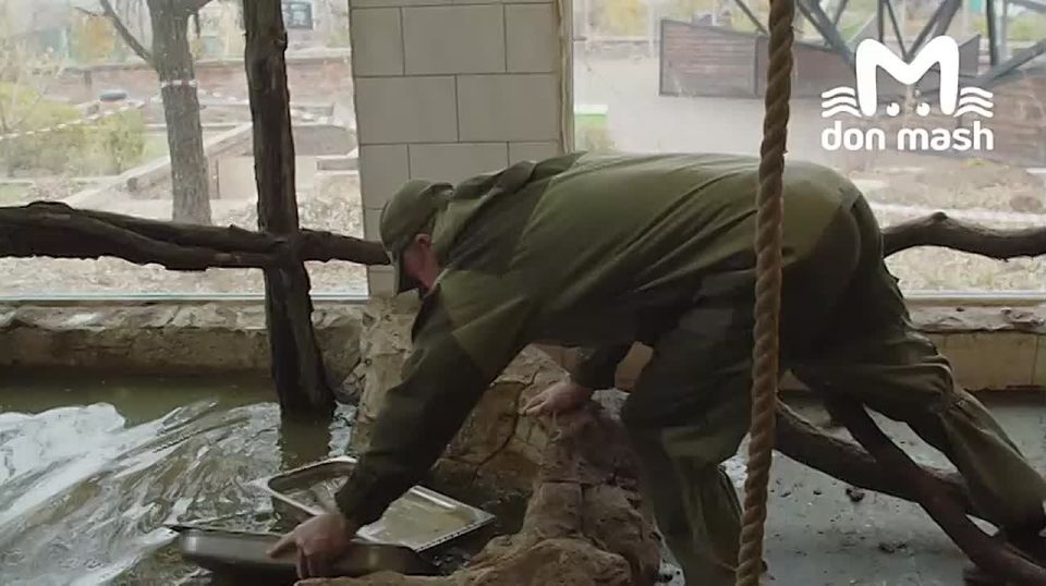 24 ������ �������� � ���������� ������� �� ������