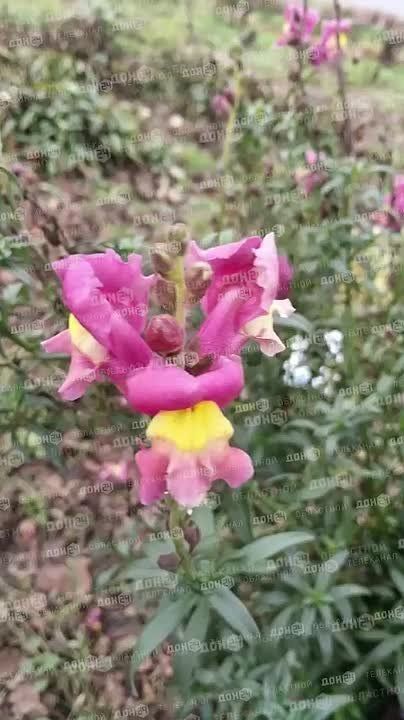 1 ������� � ������� ������� ����