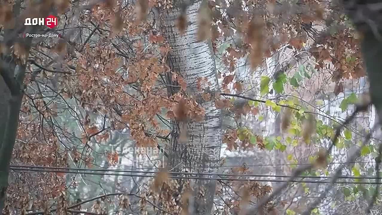 Новый год дончане снова встретят без снега