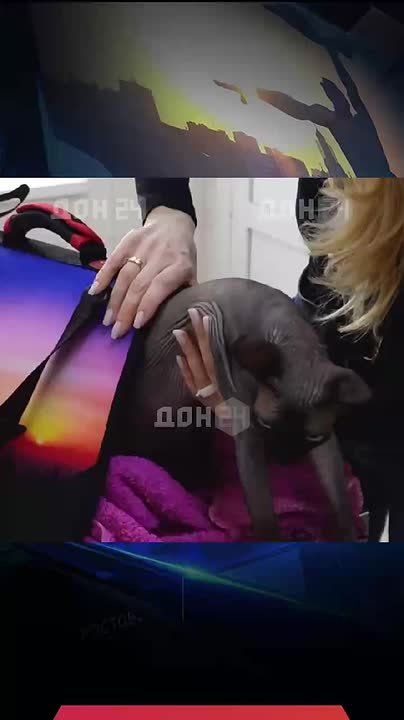 ��� ����� ����� ����� ���, ��� ������� �������?