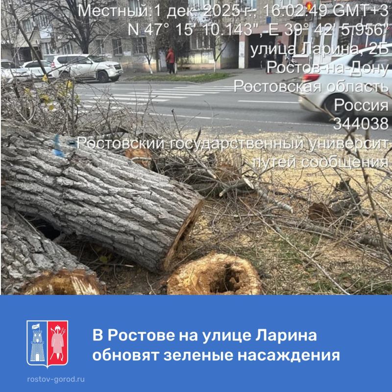 В настоящее время по ул. Ларина проводятся плановые работы по сносу и санитарной обрезке деревьев с признаками внутристволовой гнили и аварийным уклоном