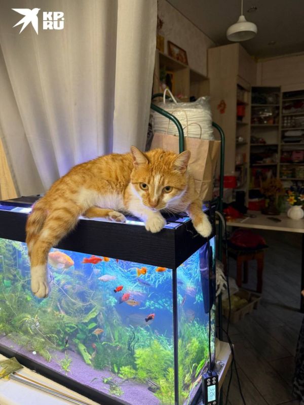 ������� � ���� �������� ��������!