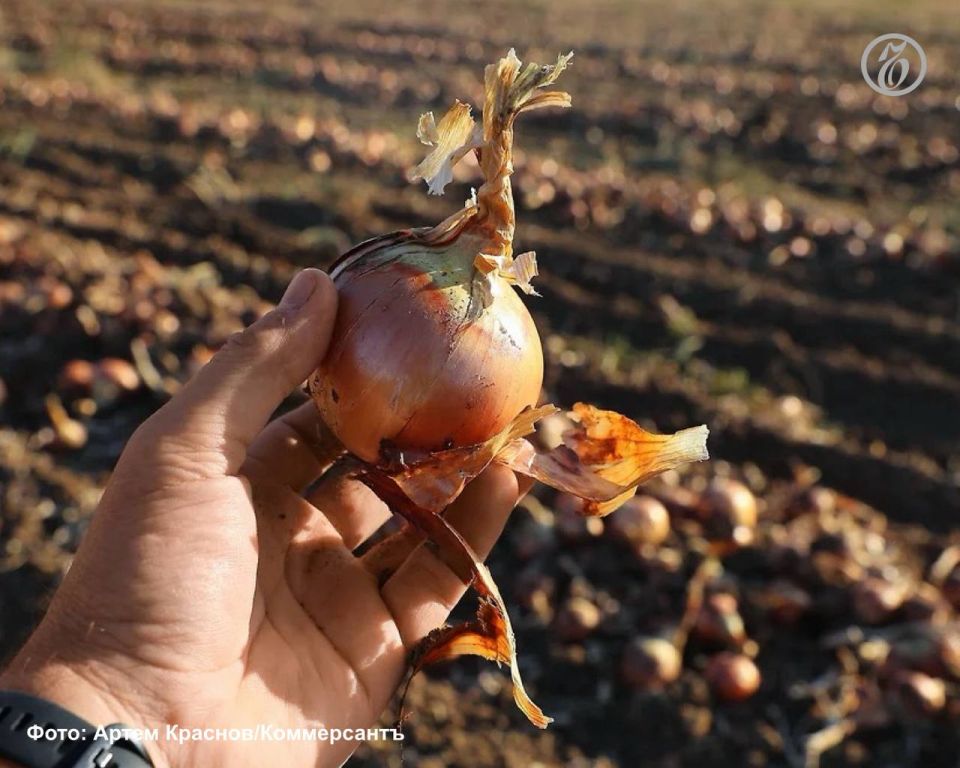 ������� ���� ������� ������� �� ���� �������� 463,7 ���