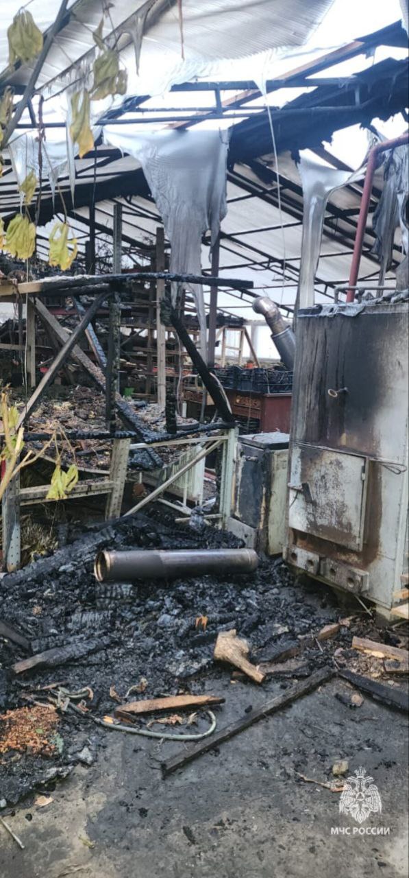 Мужчина сгорел в теплице при попытке потушить пожар