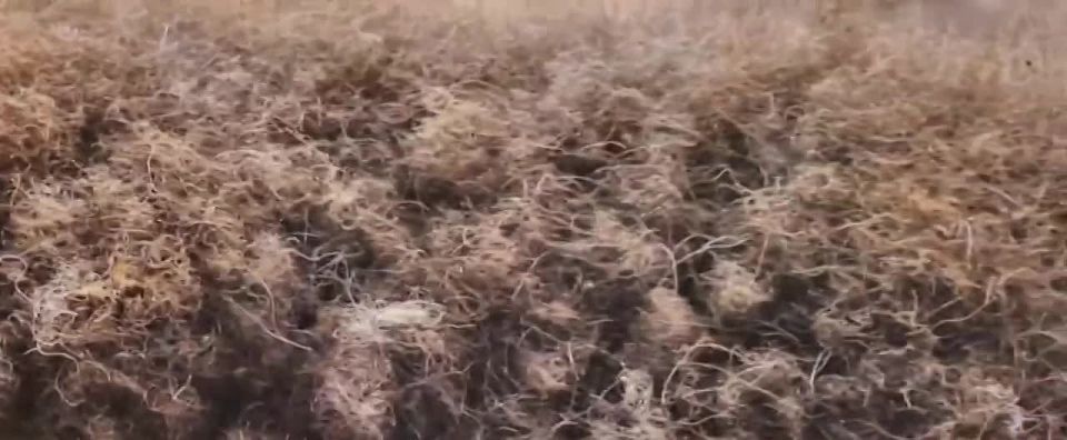 ���� ��� ��������������� ���������� � ��������� ������