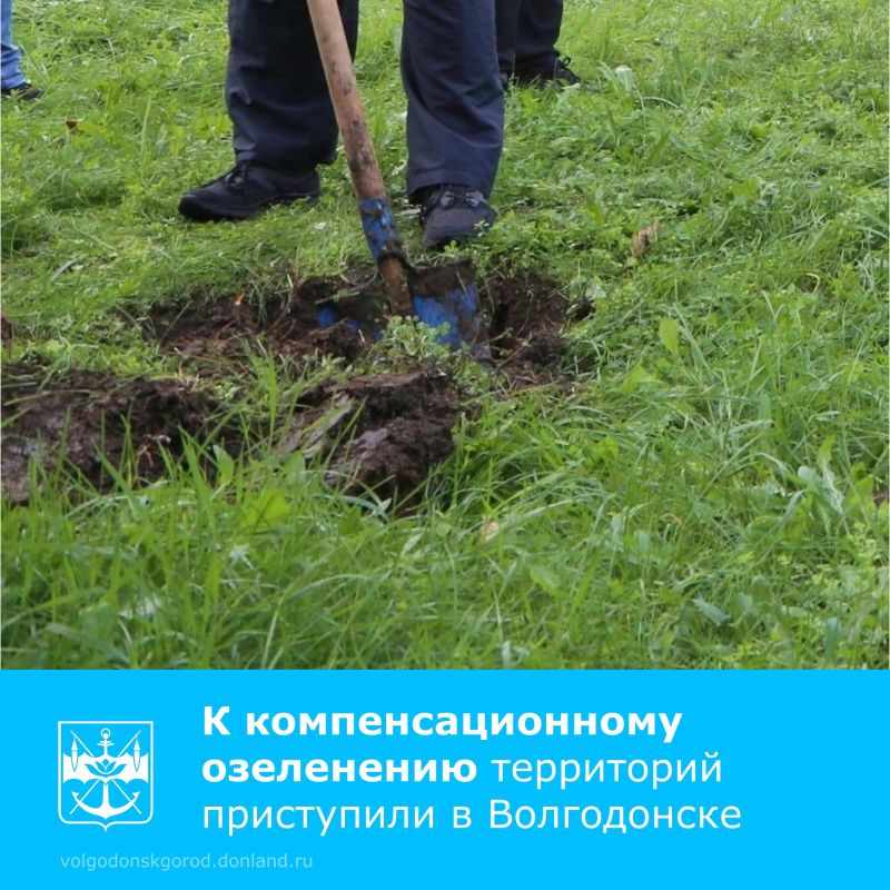 В Волгодонске началась подготовка к высадке зеленых насаждений в рамках компенсационного озеленения