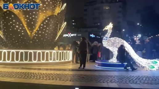 Огромная шишка на набережной дождалась своего открытия