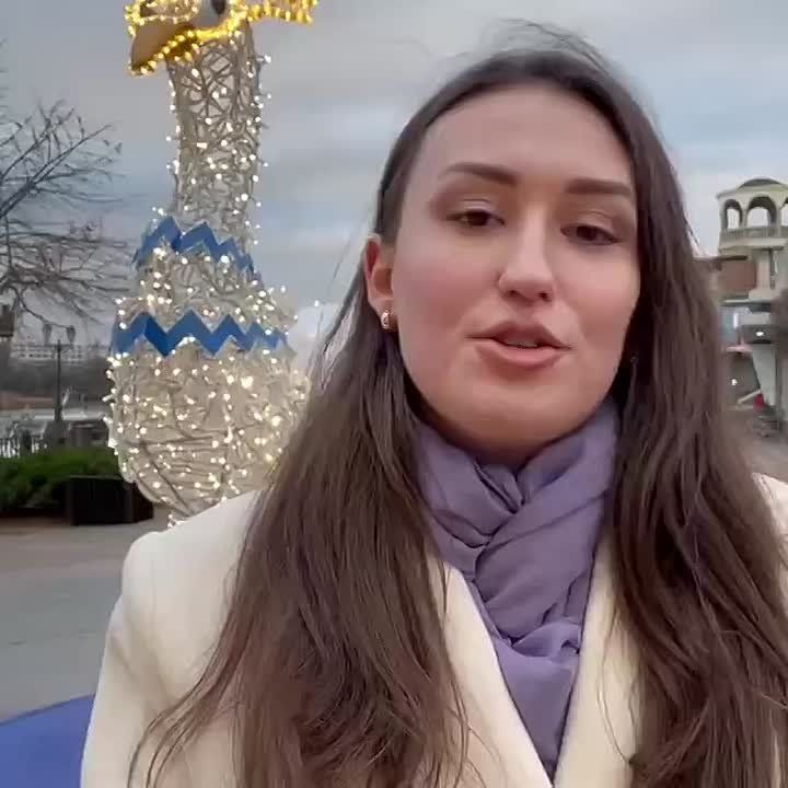 На набережной поселилась «ёлка-шишка» — и сразу стала главным героем всех фотосессий