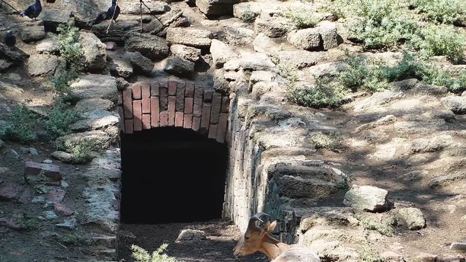 Искусственная горка в Ростовском зоопарке укрыла защитников Отечества в годы войны