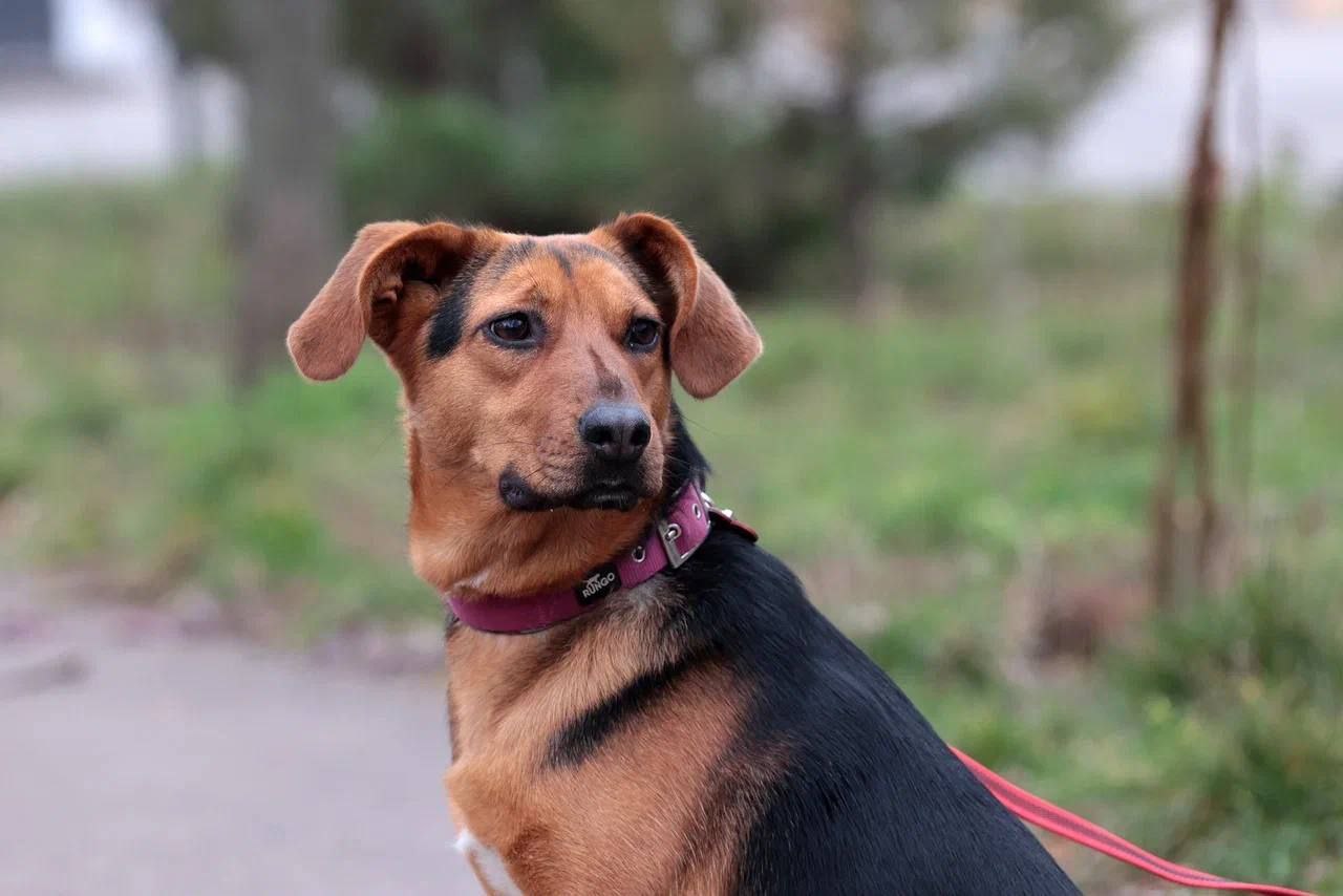 Юрий Слюсарь: Впервые за долгое время удалось выбраться на обычную прогулку