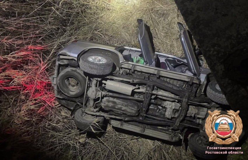 В Ростове-на-Дону водитель внедорожника погиб после падения с надземного моста