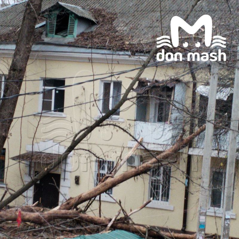 Ветер + Ростов = деревопад