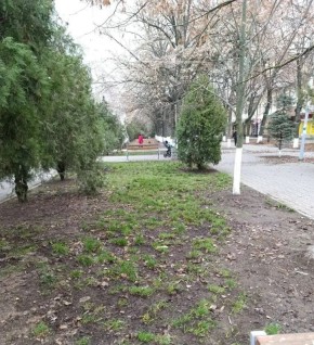 Уборка парков – на контроле