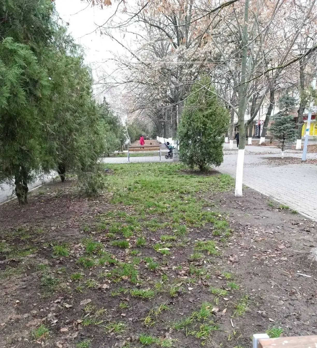 Уборка парков – на контроле