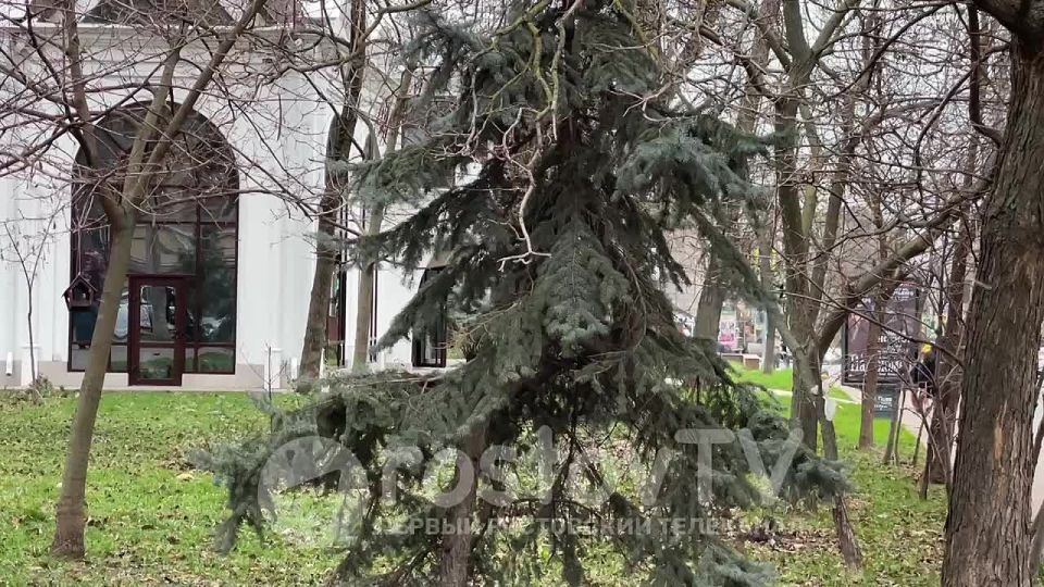 С первым снегом, ростовчане!