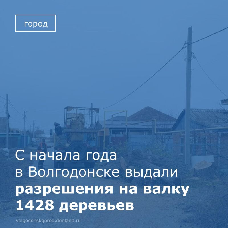 В отделе охраны окружающей среды окружающей среды и природных ресурсов о работе в части выдачи разрешений на уничтожение или повреждение на территории города зеленых насаждений