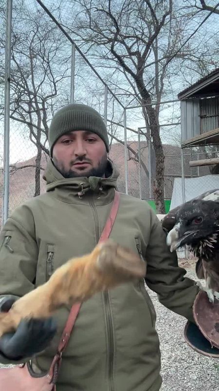 ��� ��� ������, ����� ���������� ������� ����!