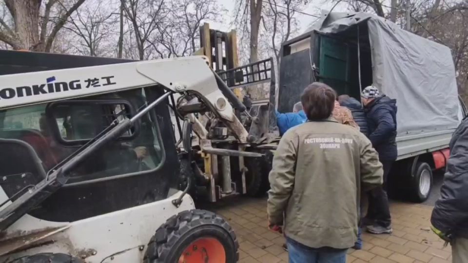 Мураш уехал на Алтай.. Нашему зубренку всего год, а он уже уехал покорять другой край, рассказывают сотрудники Ростовского зоопарка. Мураш Родился в ноябре прошлого года и вот настало время самостоятельной жизни в...