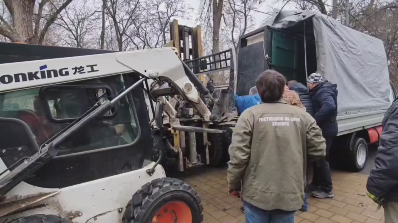 Мураш уехал на Алтай.. Нашему зубренку всего год, а он уже уехал покорять другой край, рассказывают сотрудники Ростовского зоопарка. Мураш Родился в ноябре прошлого года и вот настало время самостоятельной жизни в...