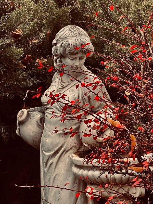 Ростов в объективе.. Сергей Скрипачев