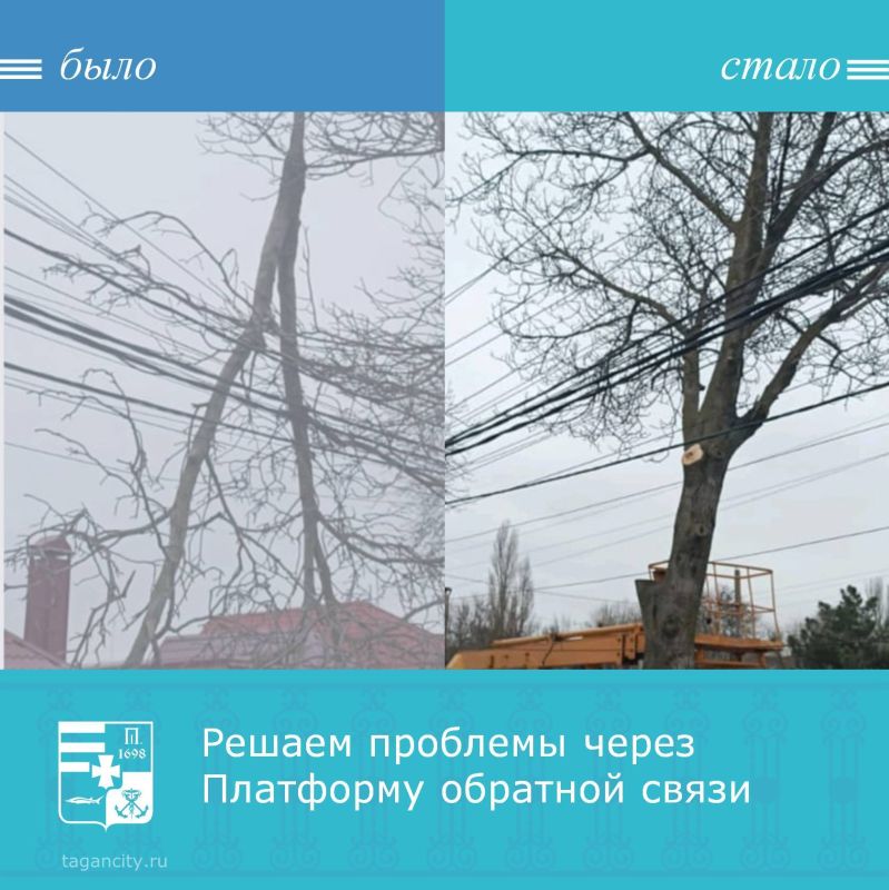Таганрожцы сообщили через Платформу обратной связи «Госуслуги. Решаем вместе» о проблеме: ветка упала на провода около дома 160 на улице Сергея Шило