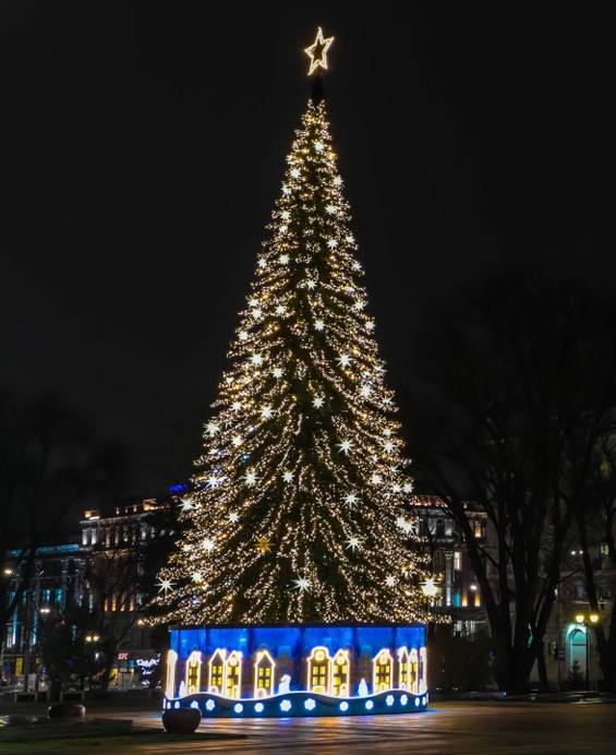 Александр Скрябин: В этом году впервые в нашем городе проводится конкурс «Лучшая Ель города Ростова-на-Дону»