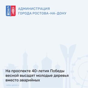 На проспекте 40-летия Победы ведутся работы по сносу и обрезке аварийных деревьев, представляющих угрозу для безопасности жителей
