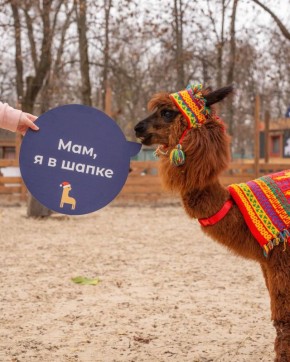   .  :     ,   ,         ! ,       !  ...