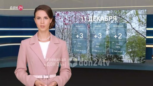 Налипание снега, туман и небольшой дождь: какая погода ждёт дончан сегодня?