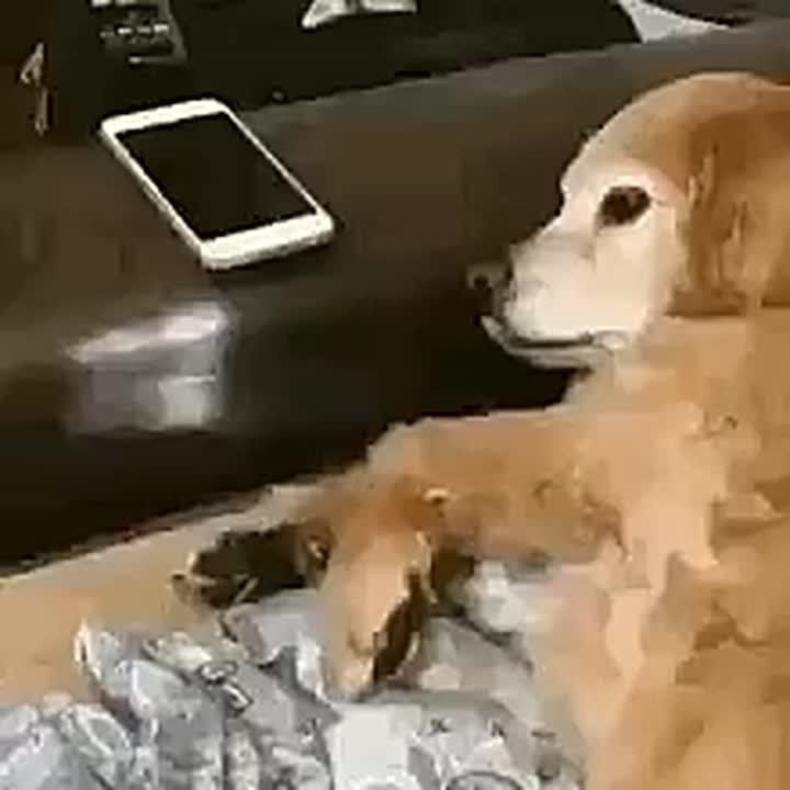 �������� �������: ��� �������� ������������ � �������������