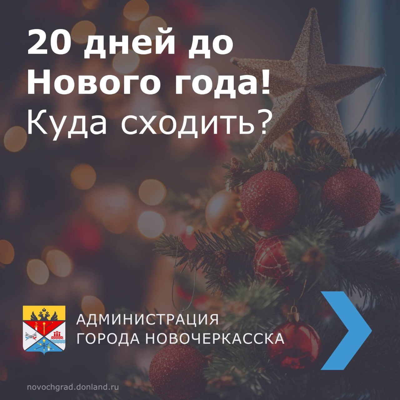 До Нового года осталось всего 20 дней!