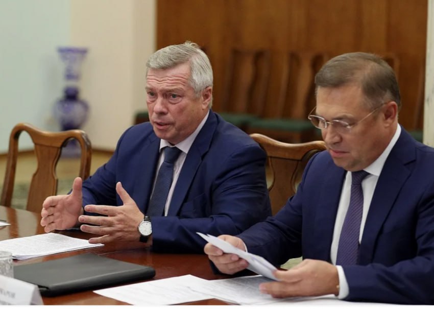 Экс-губернатор Ростовской области тратит миллионы на адвокатов Федотовой и Гончарова