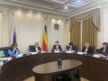 Председатель комитета по социальной политике, труду, здравоохранению и делам военнослужащих Елена Елисеева приняла участие в заседании Координационного комитета по делам инвалидов при Губернаторе Ростовской области