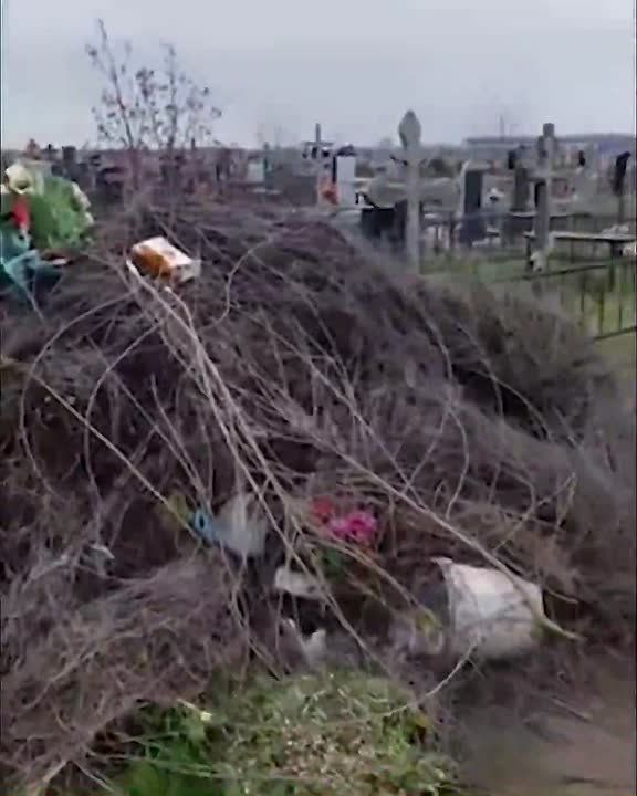 ������ ������ ��� � ����� ����� � ������ � ��� �������?