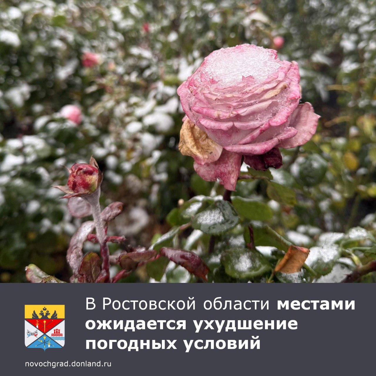 По данным Ростовского гидрометцентра, 13–14 декабря в регионе ожидается ухудшение погоды - осадки в виде дождя, мокрого снега и снега