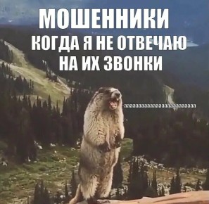 Сколько стоит доверчивость: мошенники обманули дончанку на 1,2 млн руб