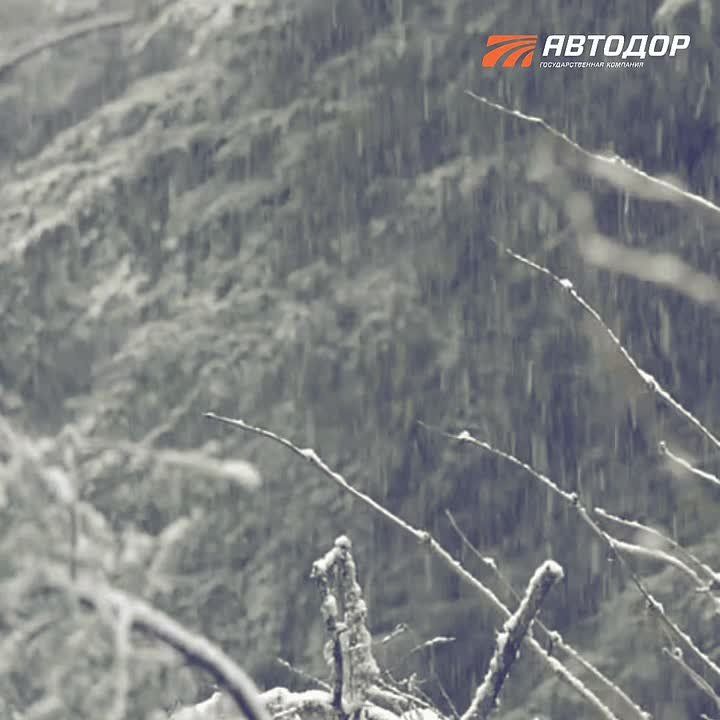 Внимание, водители! Ожидается ухудшение погоды