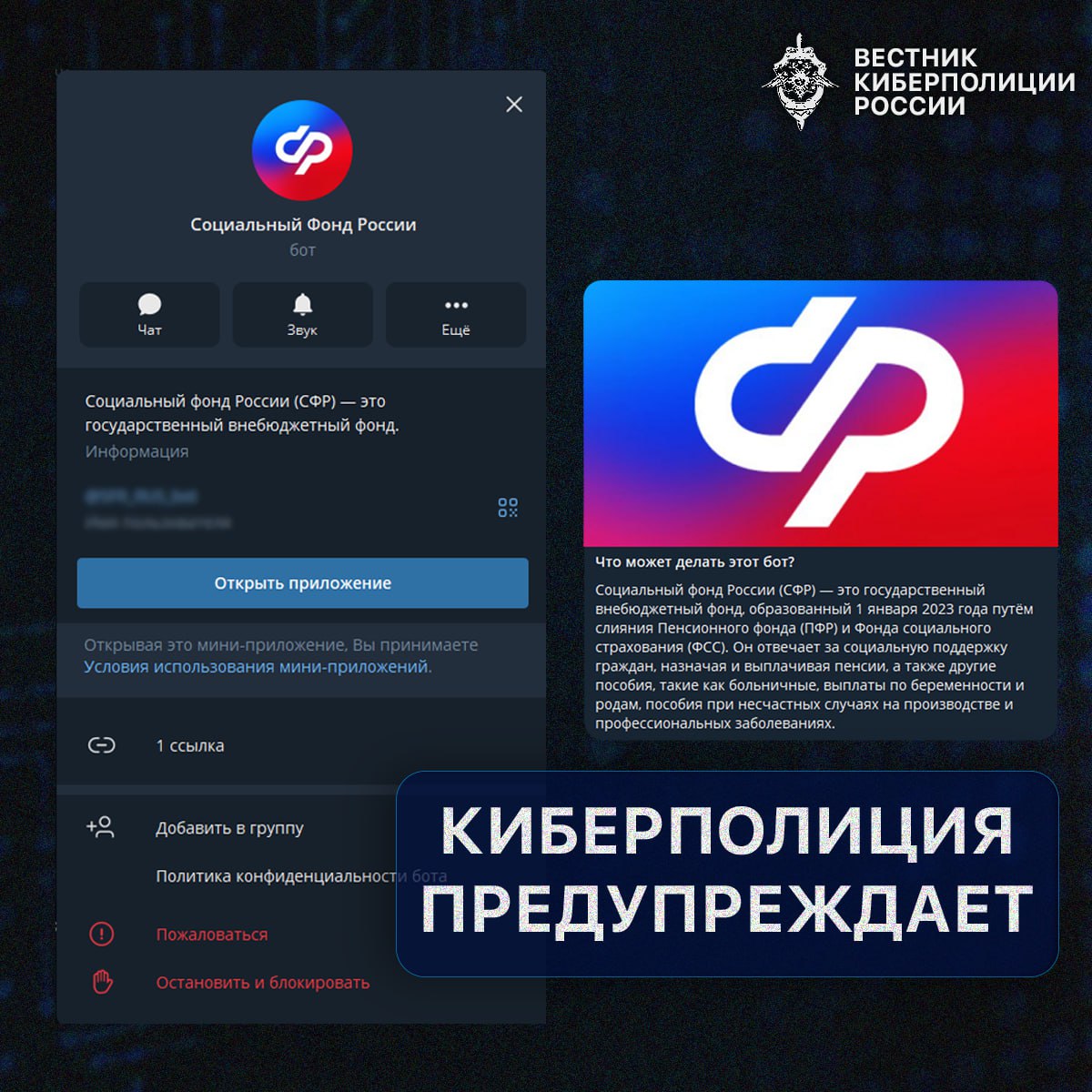 Мошенники создают поддельные боты СФР